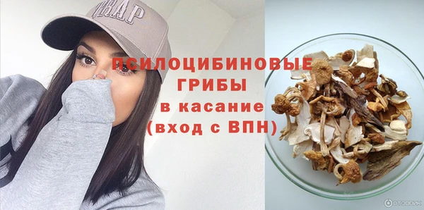 синтетический гашиш Богородск