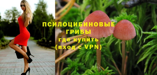 марки nbome Богородицк